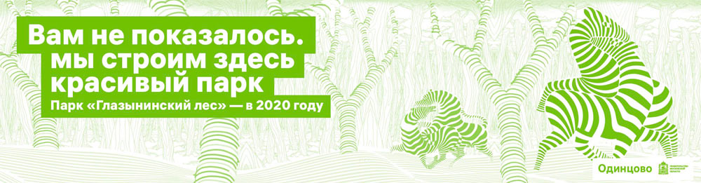 odintsovo process 50