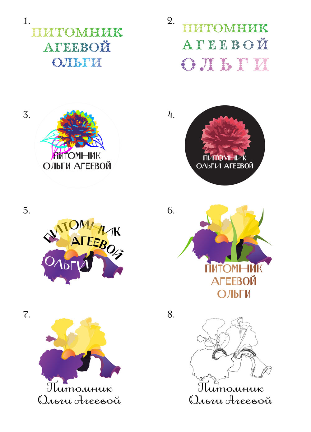 olga ageeva process 05