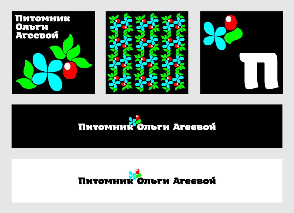 olga ageeva process 08