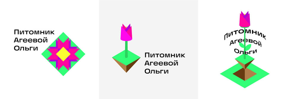 olga ageeva process 11