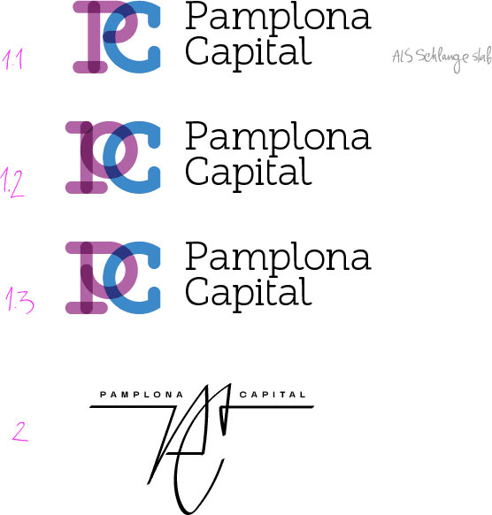 pamplona capital process 05