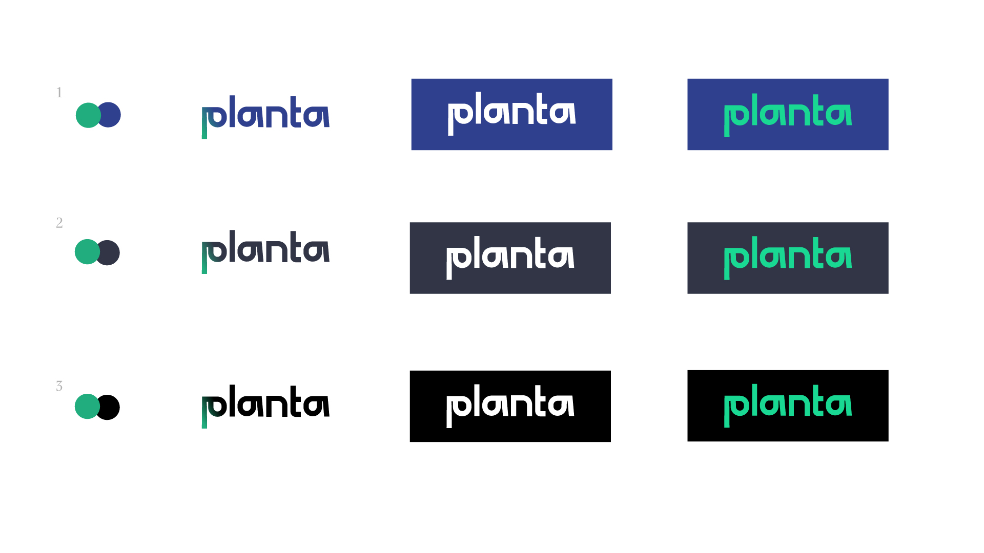 planta process 02