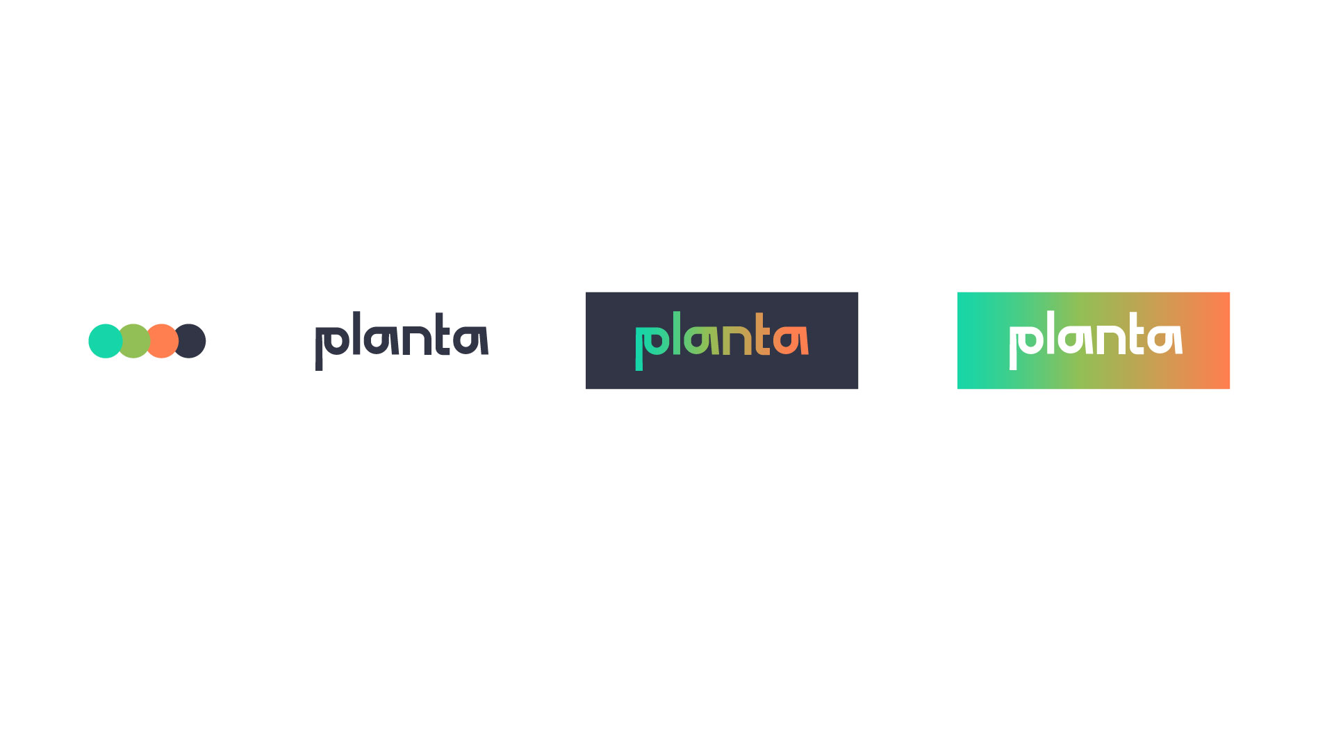 planta process 04