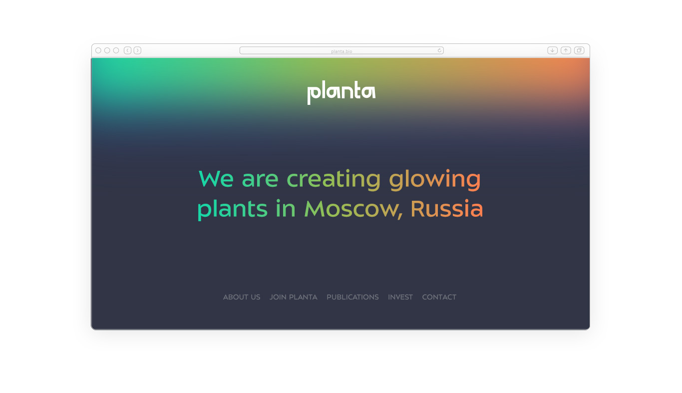 planta process 06