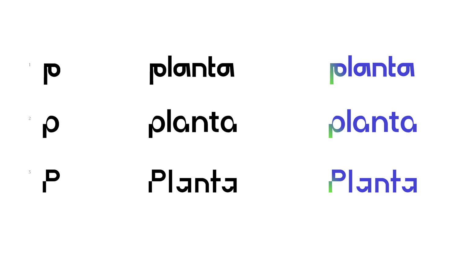 planta process 01