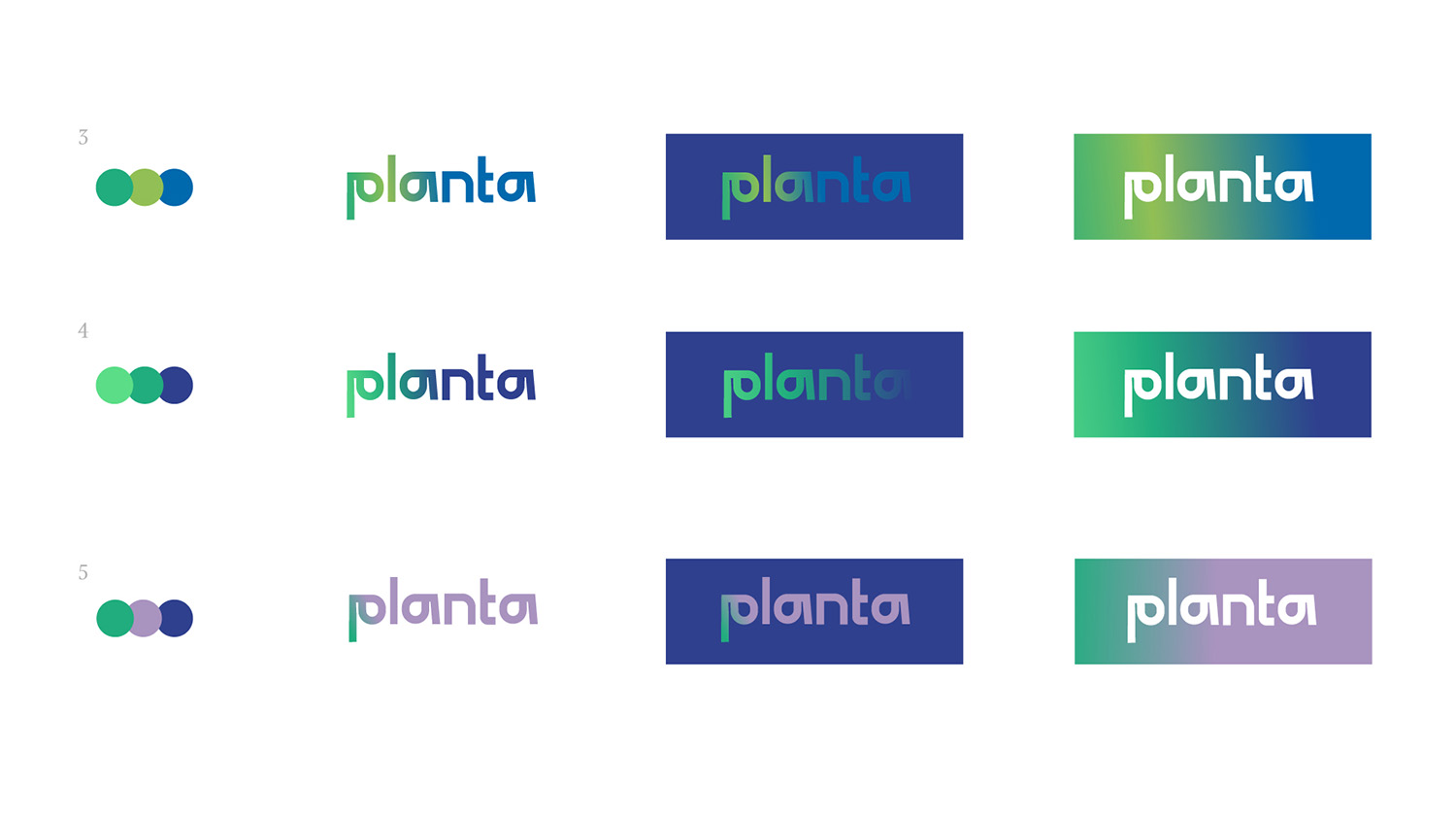 planta process 03