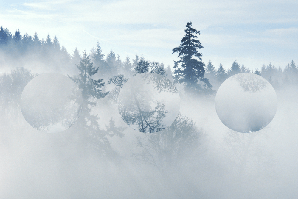 pohoronny dom process 60