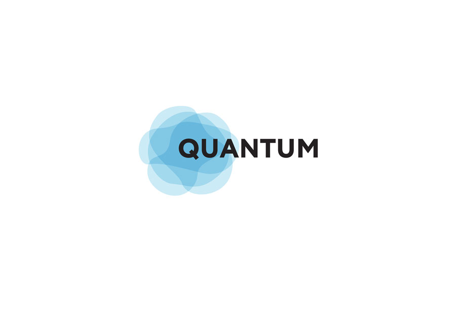 quantum identity process 06