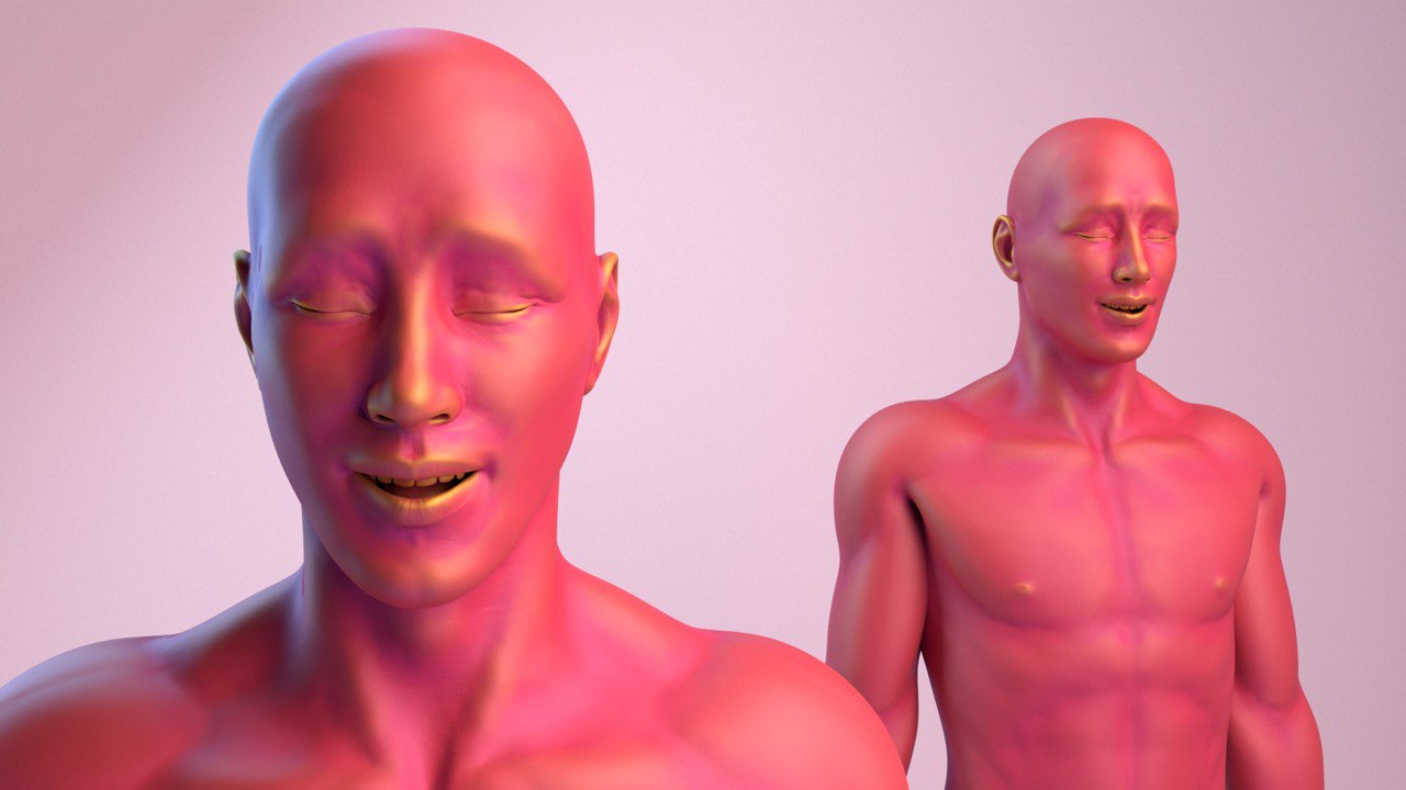 samolet d process 04