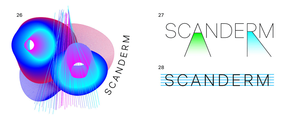 scanderm process 05