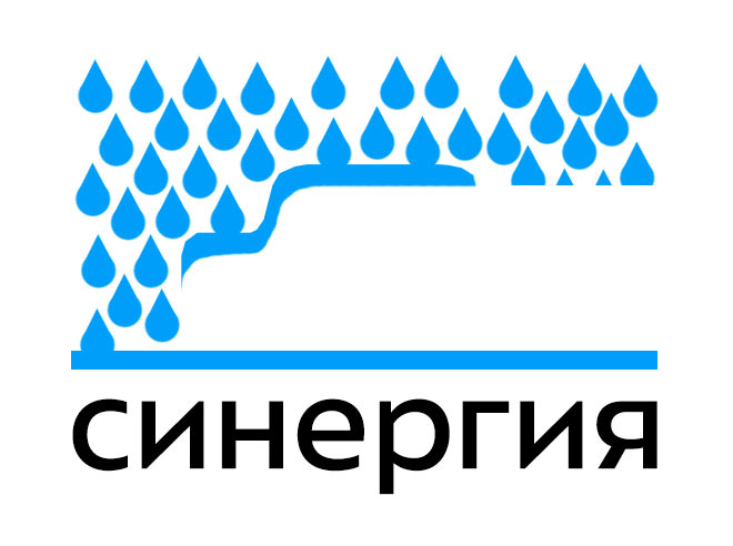 sinergiya process 10