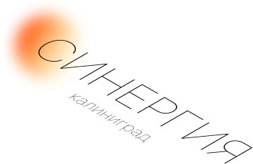 sinergiya process 14