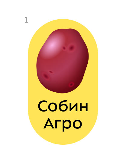 sobin agro process 01