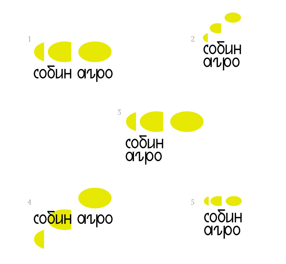 sobin agro process 03