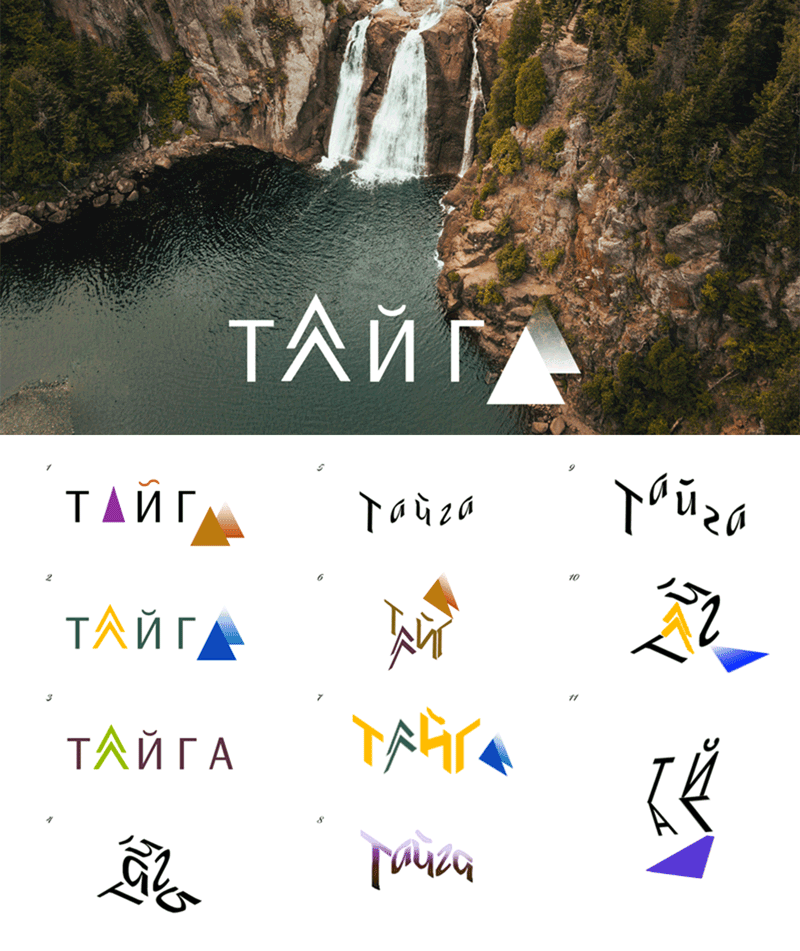 taiga process 01