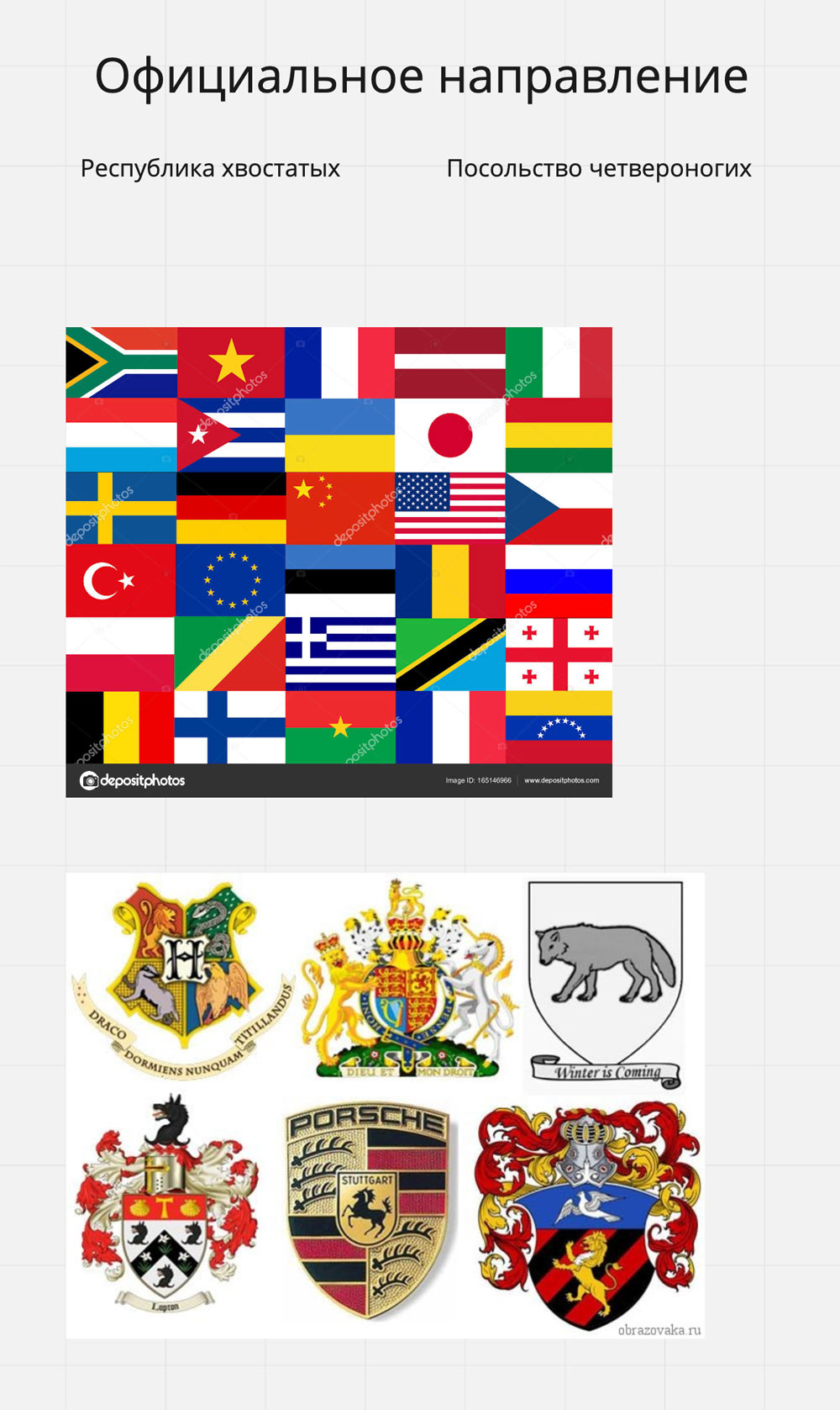 veterritoria process 02