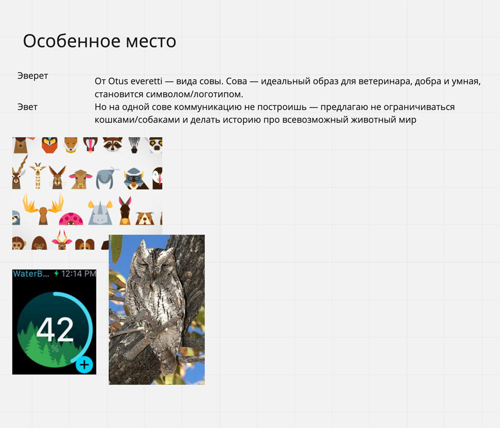 veterritoria process 04