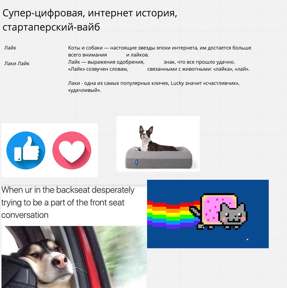 veterritoria process 05