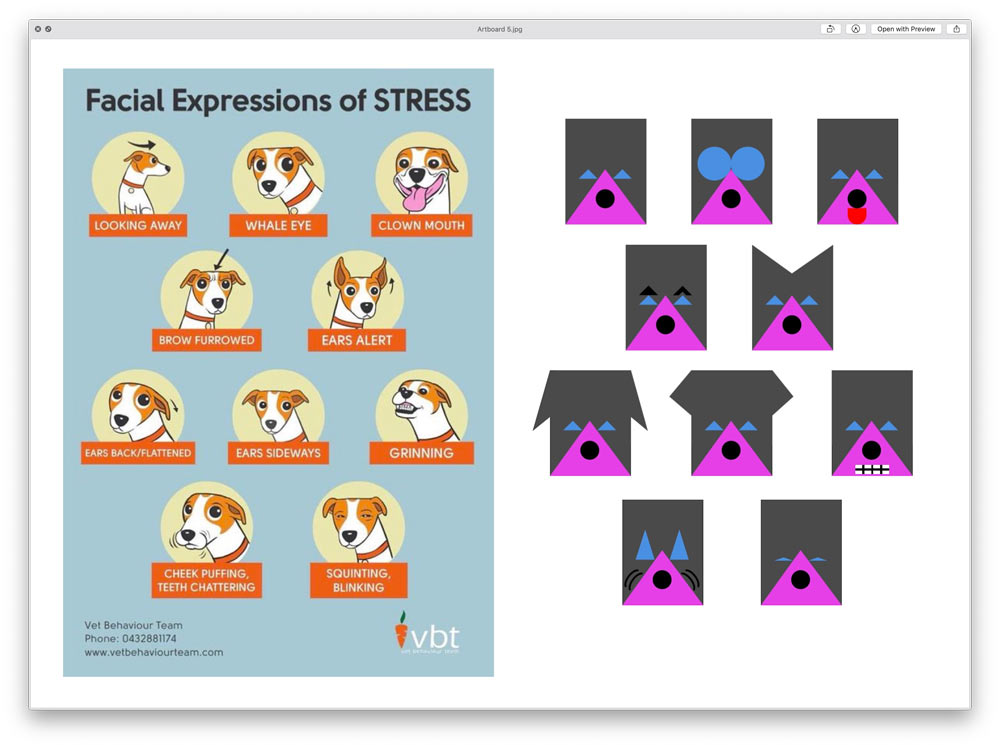 veterritoria process 20