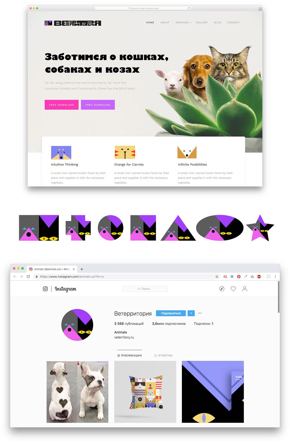 veterritoria process 24