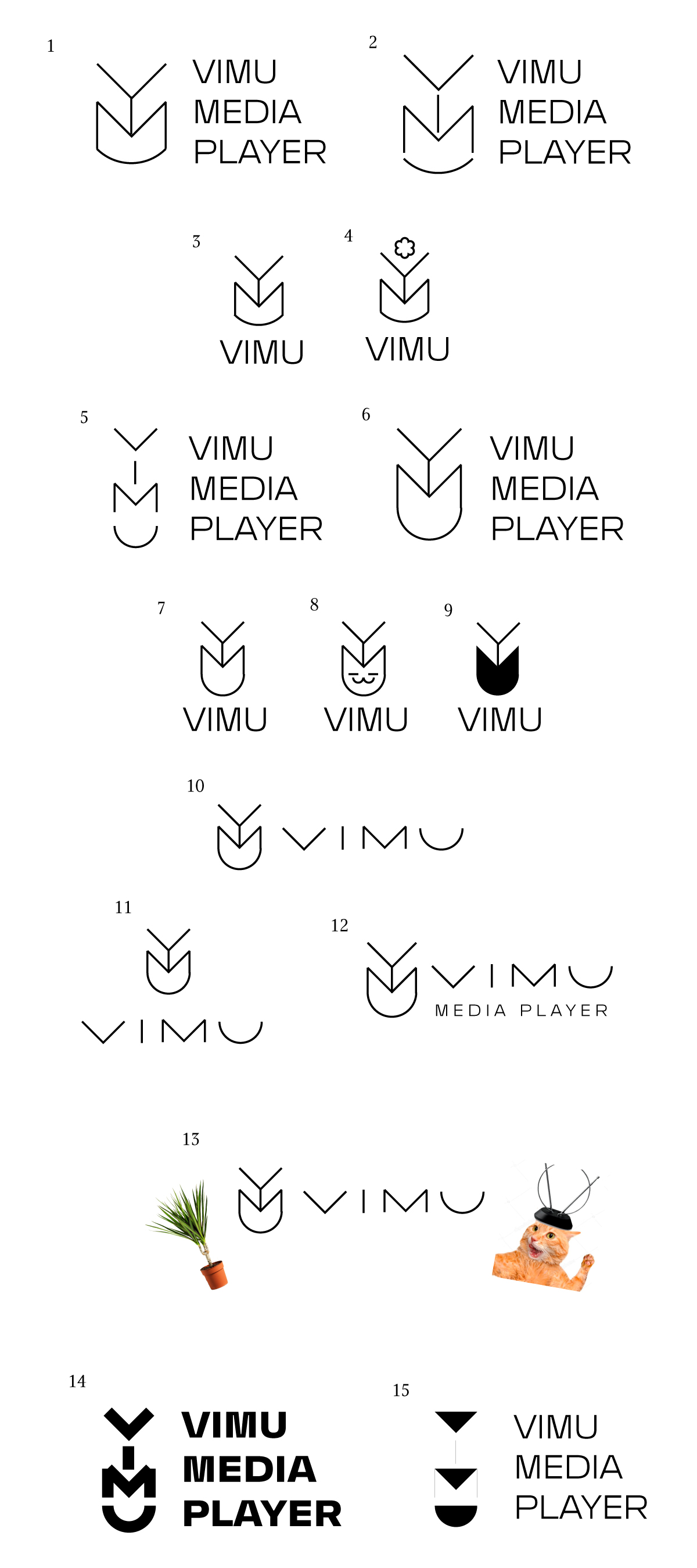 vimu process 01