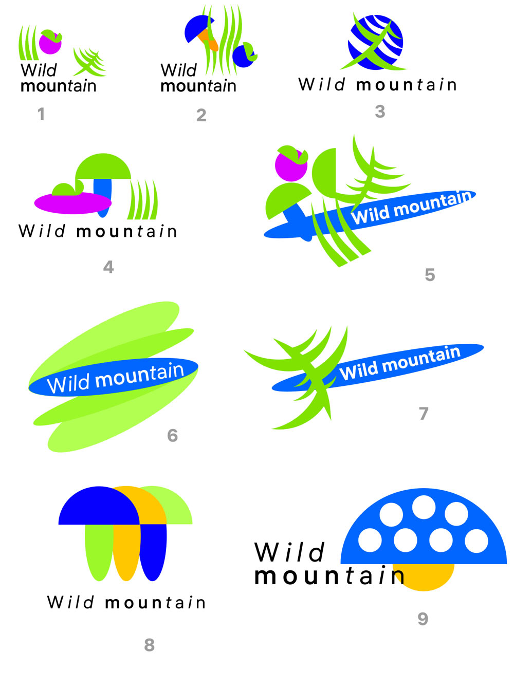 wild mountain process 01