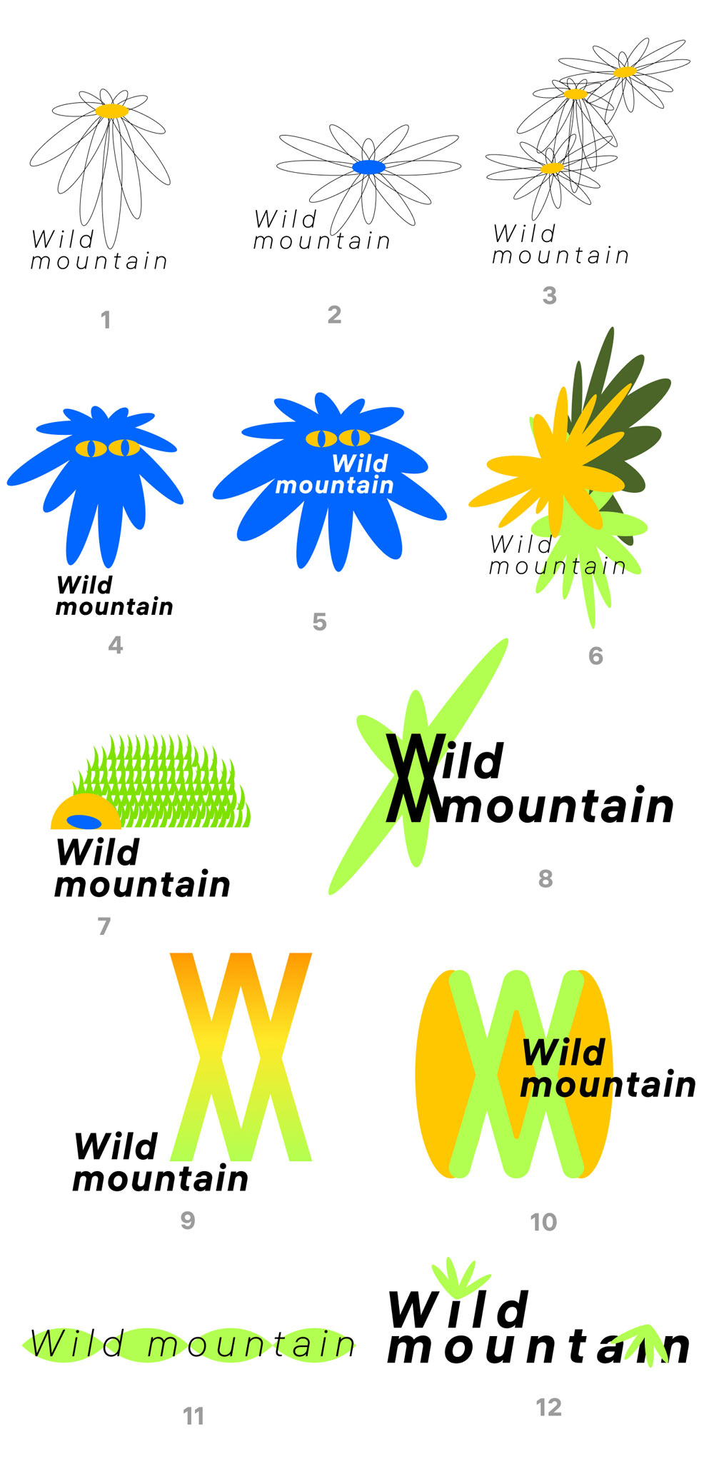 wild mountain process 02