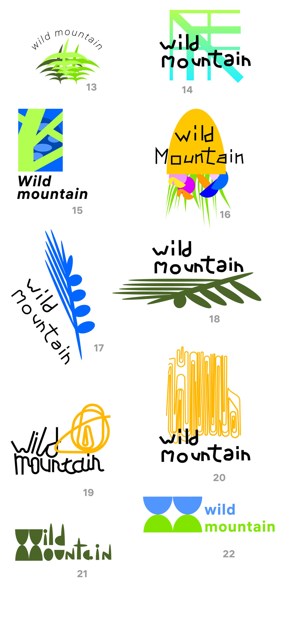 wild mountain process 04