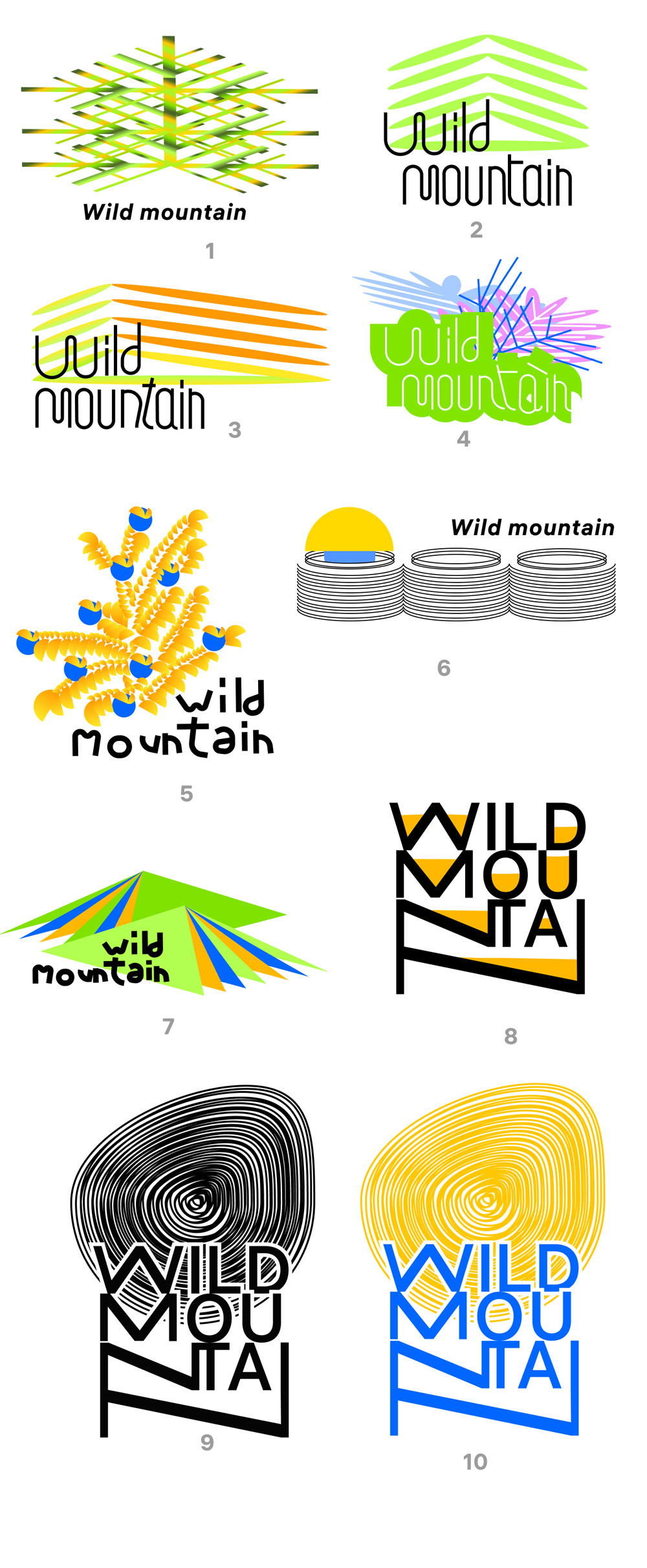 wild mountain process 06