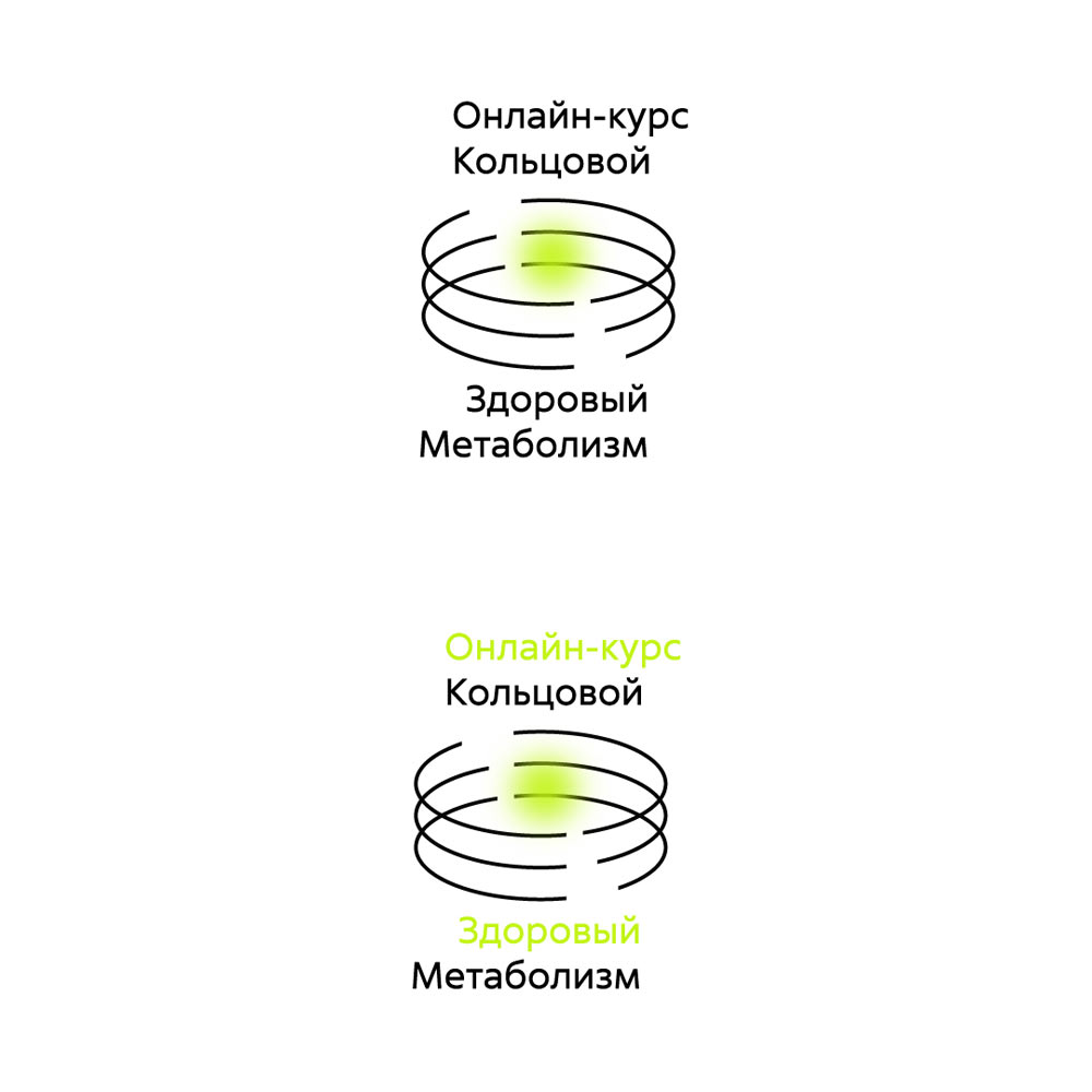 zdorovy metabolizm2 process 06
