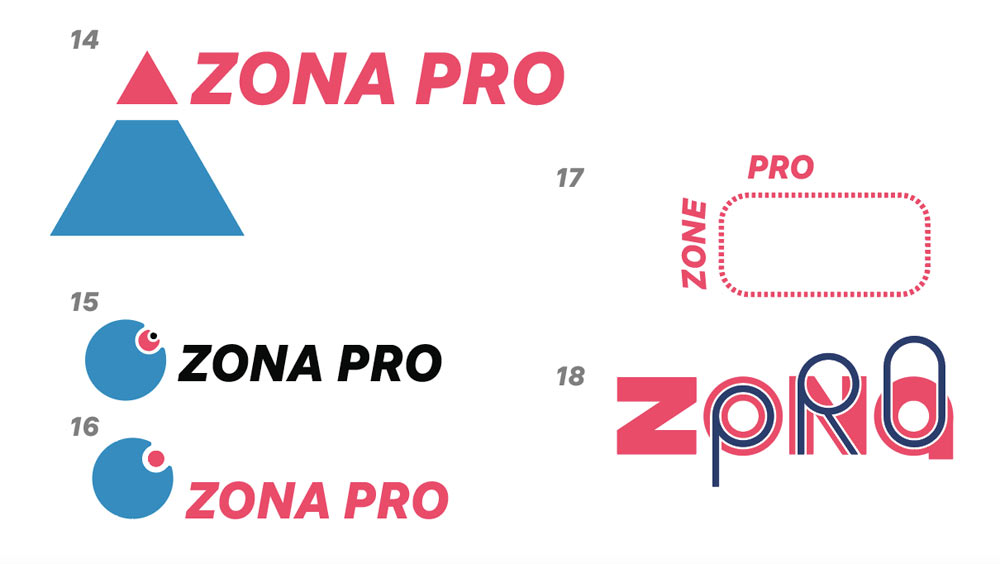 zone pro process 09