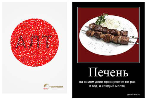 gepatitu net process 02