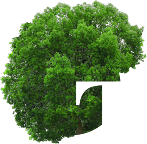 greenteam tree