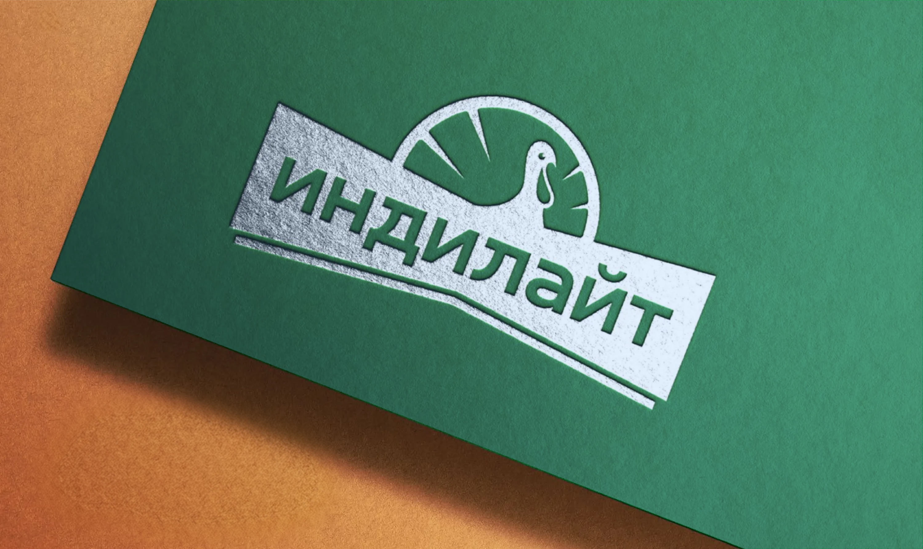indilight logo 04