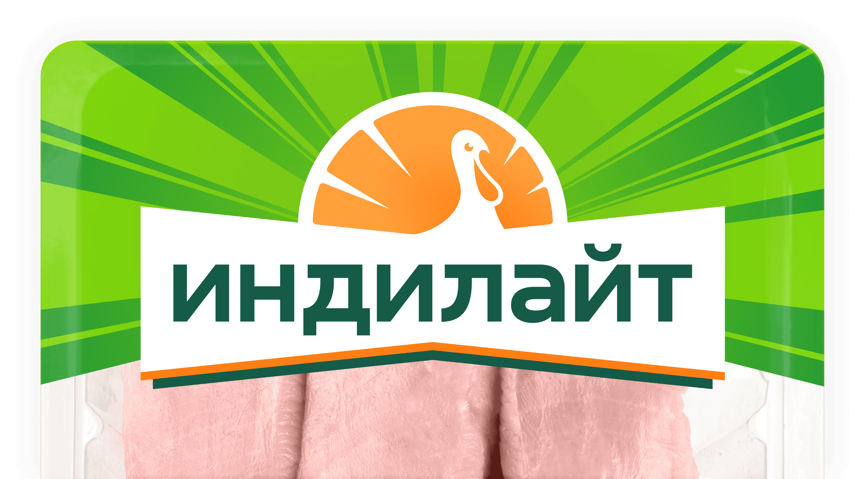 indilight logo final