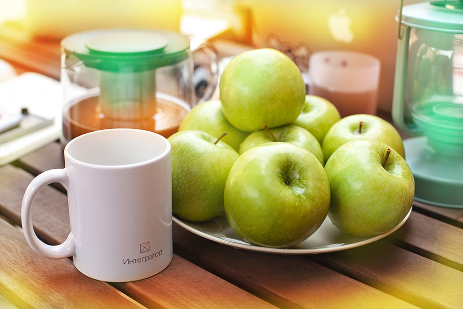 integrator logo life 04