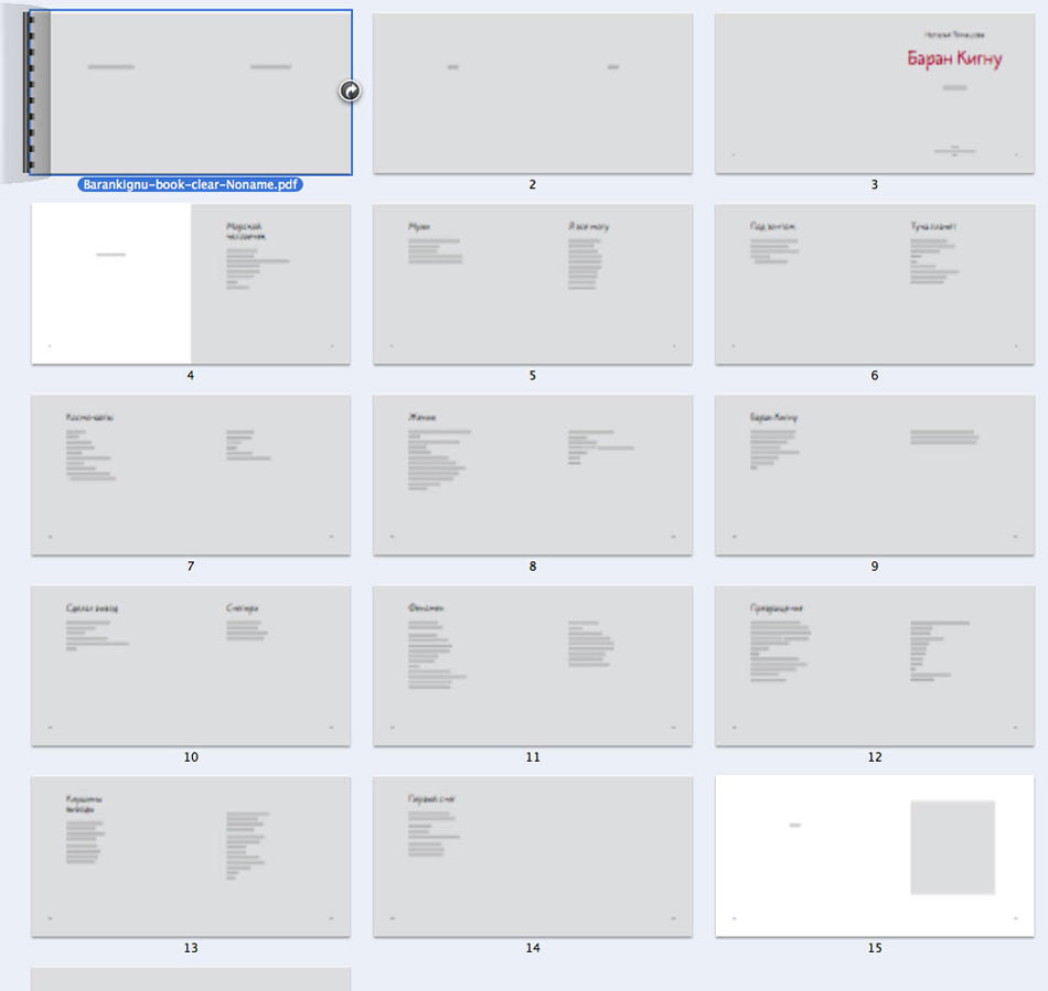 izdal baran kignu process 01