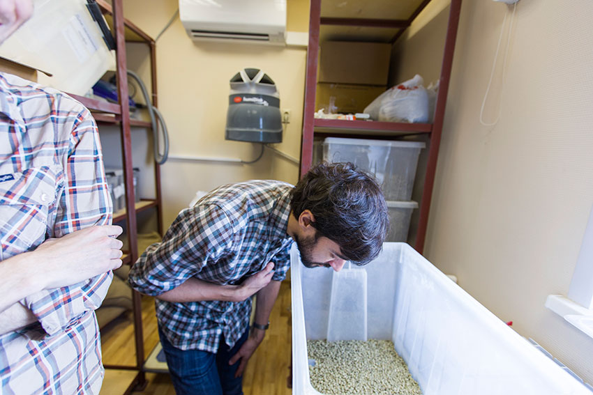 posobie baristy process 11