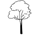 kaliningrad logo elements tree img