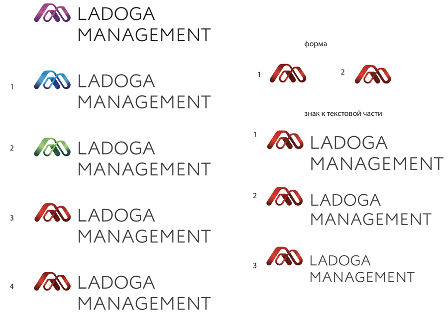 ladoga process 13