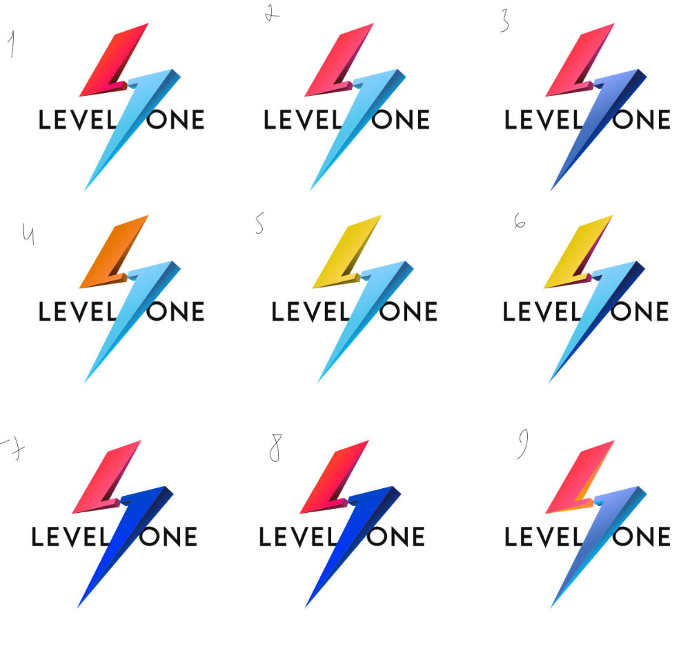 level one process 13