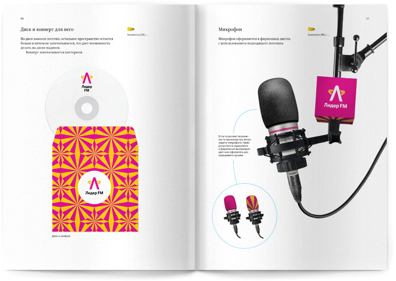 lider guidelines disk and microphone