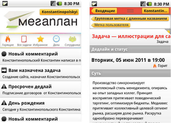 megaplan mobile process 03