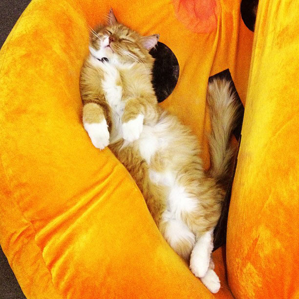 metro navigation process 2 21