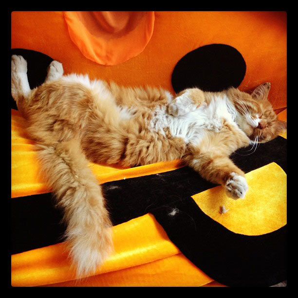 metro navigation process 2 23