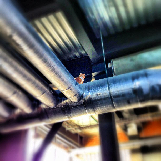 metro navigation process 2 25