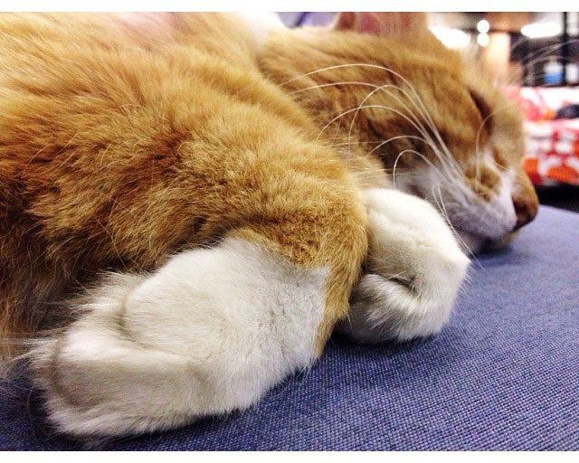 metro navigation process 2 27