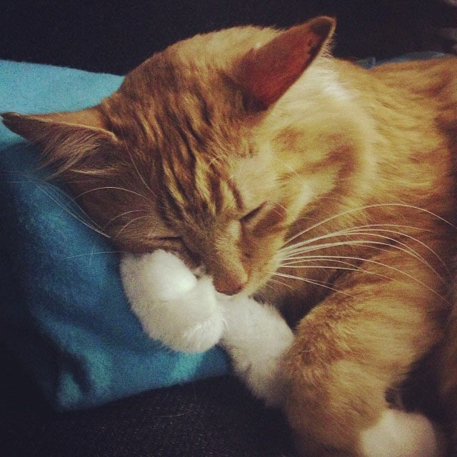 metro navigation process 2 28