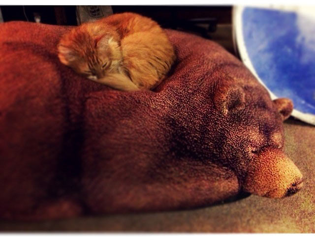 metro navigation process 2 30