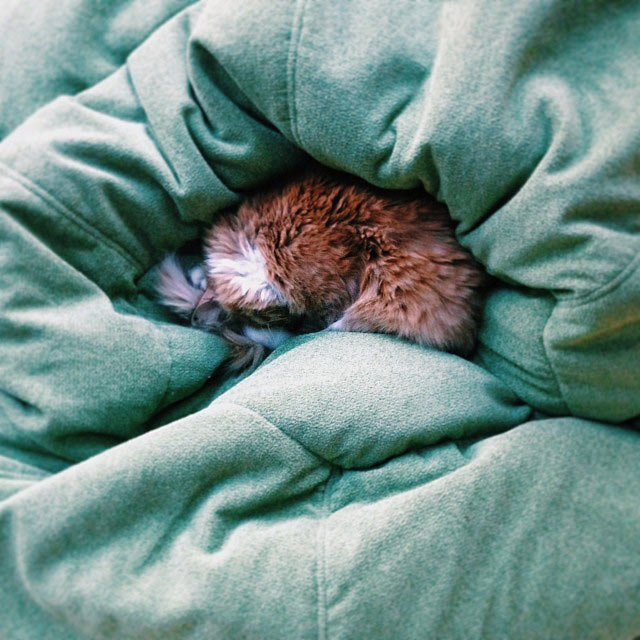 metro navigation process 2 31